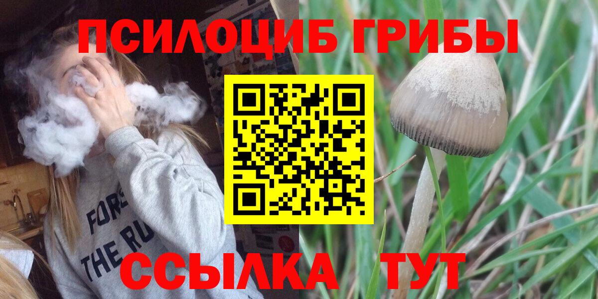 Вязьма  Псилоцибиновые грибы MAGIC MUSHROOMS  продажа наркотиков  Вход с VPN 
