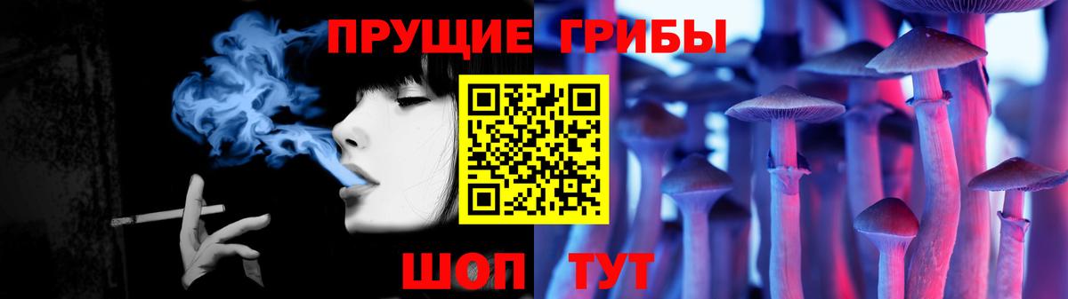 Галлюциногенные грибы Psilocybine cubensis Вязьма